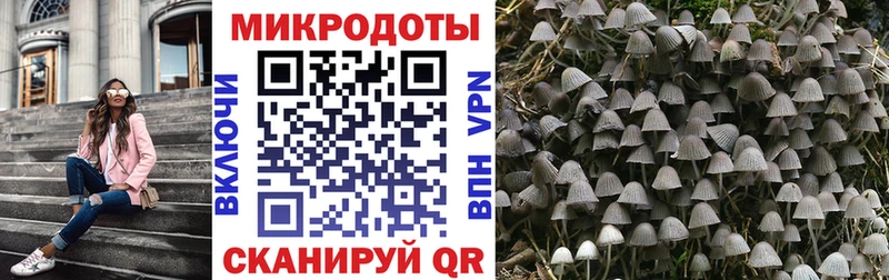 Галлюциногенные грибы GOLDEN TEACHER  Сертолово 